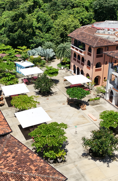 PlazaMercado